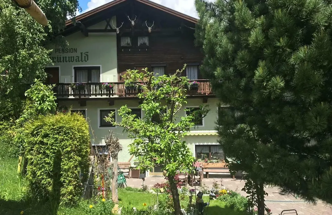 Pension Gruenwald-1