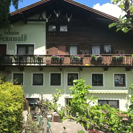 Pension Gruenwald-2