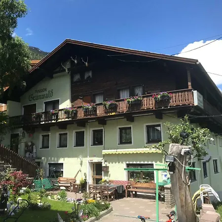 Pension Gruenwald-3